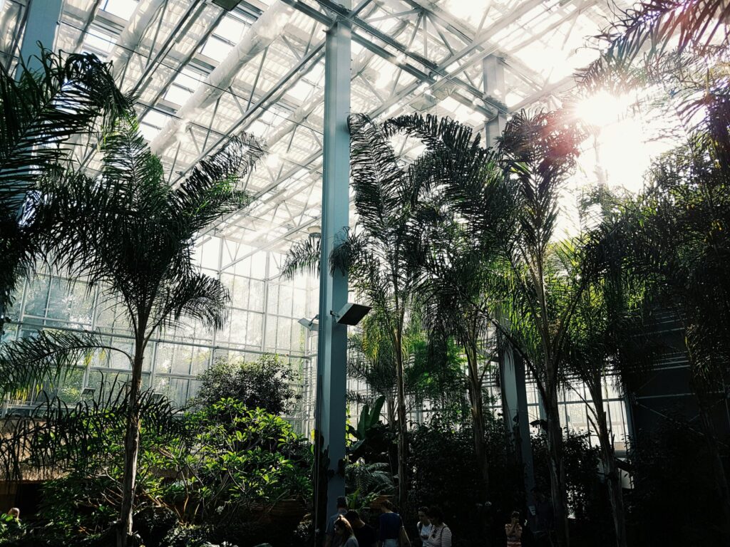 Featured image for the Fairchild Tropical Botanic Garden